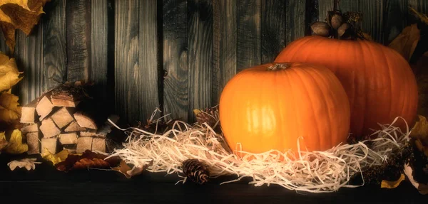 Still life with pumpkins for Thanksgiving day — Stock Photo, Image