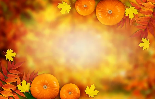 Thanksgiving Autumn festive background with pumpkins and autumnal leaves — Stock Photo, Image