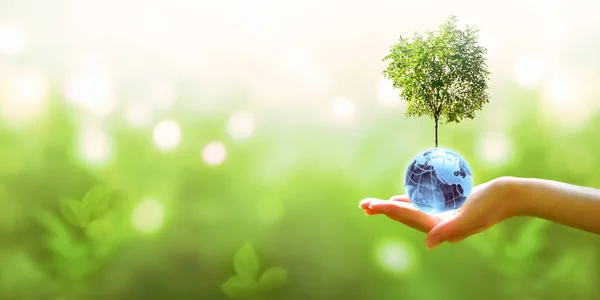 世界地球日或植物节卡片 蓝色玻璃球和树在人类手中的模糊的绿色背景 拯救环境 保护清洁的地球和生态 可持续的生活方式 — 图库照片