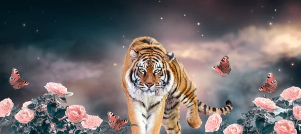 Фантазия Тигра Идущего Сказочному Волшебному Ночному Небу Сияющими Звездами Облаками — стоковое фото