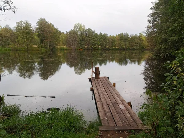 yumuşak su ile orman Gölü