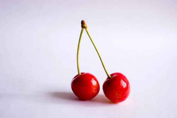 Cerises Sur Fond Blanc — Photo