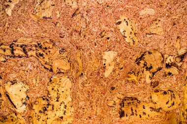 paslı mantar arka plan soyut doku