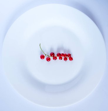 dal sanat üzerinde frenk üzümü kırmızı meyveleri