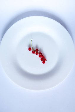 dal sanat üzerinde frenk üzümü kırmızı meyveleri