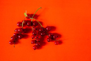 turuncu arka plan sanatı üzerinde kırmızı frenk üzümü