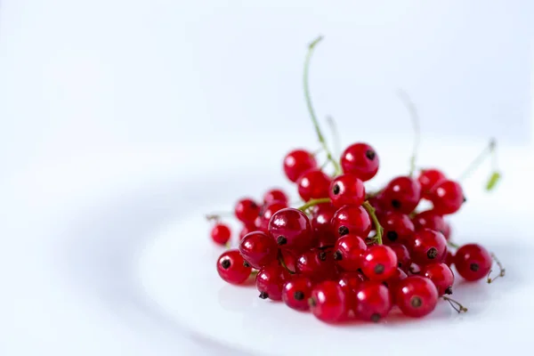 Bund Roter Johannisbeeren Auf Weißem Hintergrund — Stockfoto