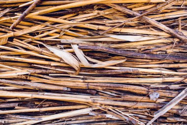 Eski bambu doku arka plan