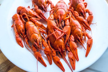 bir plaka üzerinde kırmızı kokulu haşlanmış kerevit