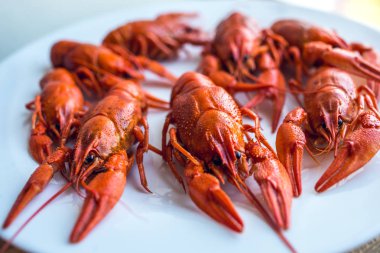 bir plaka üzerinde kırmızı kokulu haşlanmış kerevit