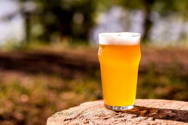 ahşap masada bira ve baharat cam