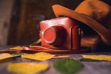 sonbahar yaprakları bir arka plan üzerinde eski kamera