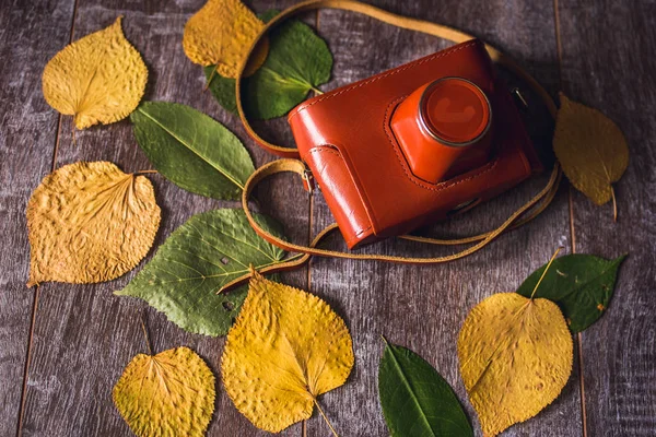 old camera on a background of autumn leaves