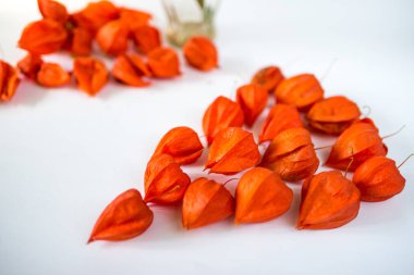 Beyaz arka plan üzerinde izole kırmızı physalis