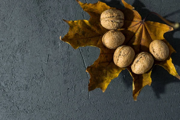 Herfstbladeren Walnoten Een Donkere Achtergrond — Stockfoto