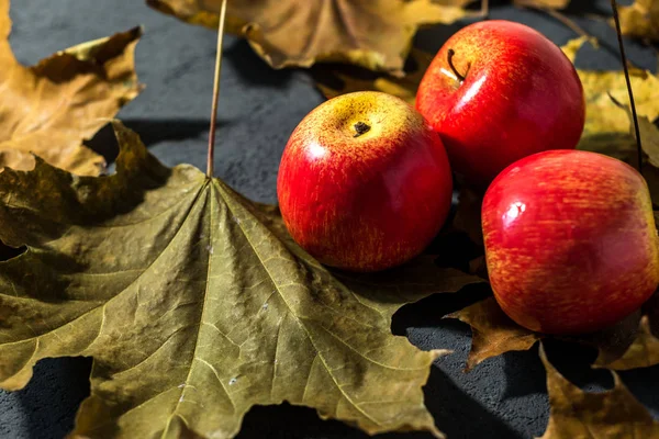 Karanlık Bir Sonbahar Arka Planında Elmalar Fındıklar — Stok fotoğraf