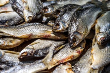 Kurutucuda güneşte kurutulmuş balık, konserve bira atıştırmalıkları.