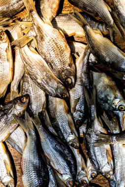 Kurutucuda güneşte kurutulmuş balık, konserve bira atıştırmalıkları.