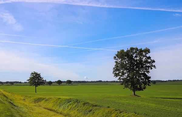 Ağaçlar üzerinde yeşil bir alana contrails ile mavi gökyüzü karşı