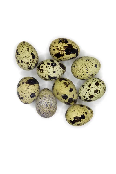 Αρκετά Ορτύκια Αυγά Που Απομονώνονται Λευκό Τις Σκιές — Φωτογραφία Αρχείου
