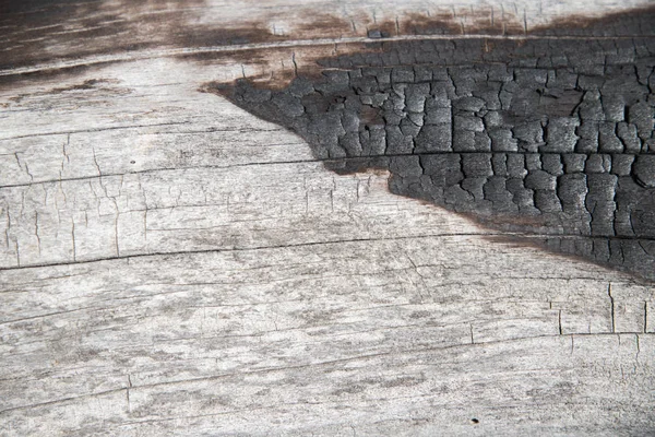 Texturen Brända Stammen Ett Gammalt Träd Närbild — Stockfoto