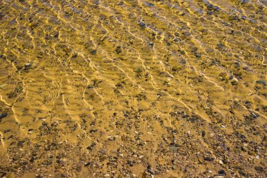 Çakıl taşlı kumlu alt dalgacıkları ile şeffaf su yüzeyi