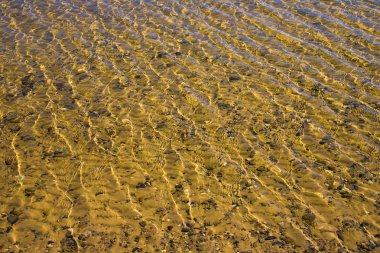 Çakıl taşlı kumlu alt dalgacıkları ile şeffaf su yüzeyi