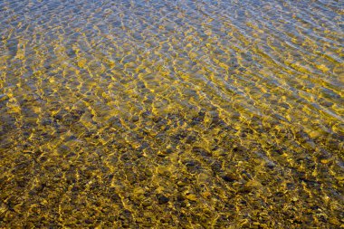 Çakıl taşlı kumlu alt dalgacıkları ile şeffaf su yüzeyi