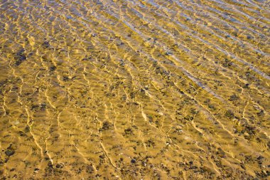 Çakıl taşlı kumlu alt dalgacıkları ile şeffaf su yüzeyi