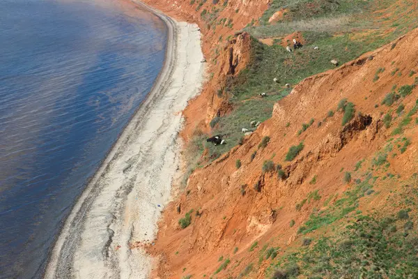 Büyük bir kil uçurumun yamacında otlayan koyun sürüsü