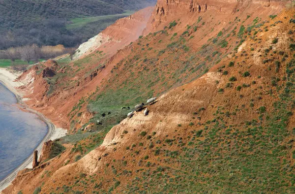 Büyük bir kil uçurumun yamacında otlayan koyun sürüsü