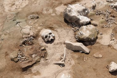 Kurumuş bir nehrin kıyısında insan kafatası