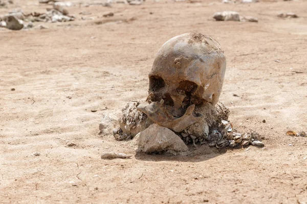Human skull on the bank of a dried river