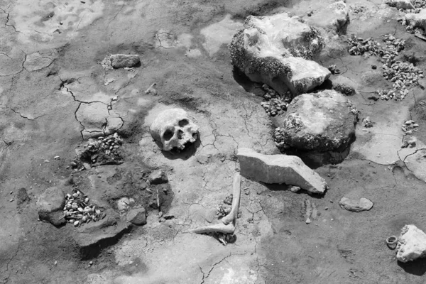 Human skull on the bank of a dried river monochrome