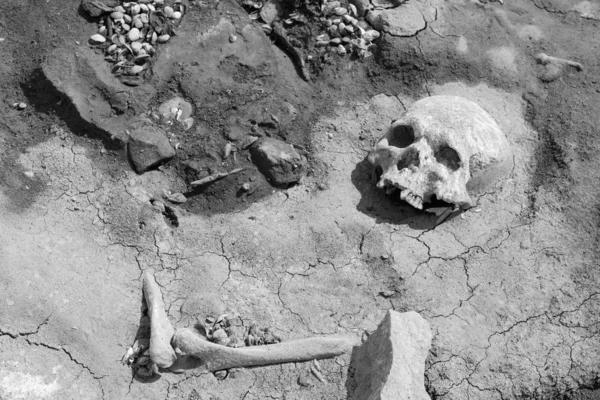 Human skull on the bank of a dried river monochrome