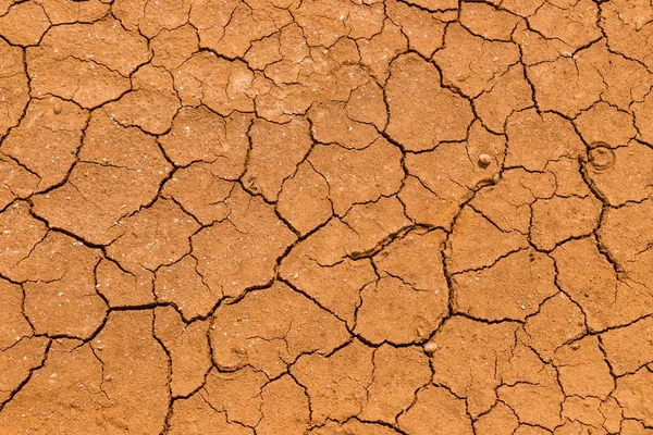 Texture Dry Dehydrated Surface Earth Cracks Close — Stock Photo, Image