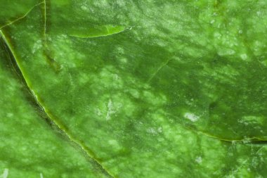 Yeşil doğal mermer, seramik zemin fayansları ve zemin fayansları için doku.