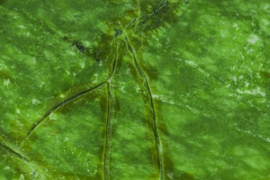 Yeşil doğal mermer, seramik zemin fayansları ve zemin fayansları için doku.