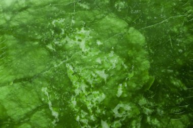 Yeşil doğal mermer, seramik zemin fayansları ve zemin fayansları için doku.