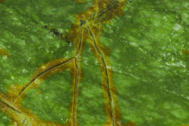 Çatlaklarda kahverengi damarları olan yeşil doğal mermer seramik fayanslar ve zemin fayansları için doku.