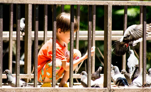 Niños Con Palomas Una Jaula Acero Wat Umong Chiangmai Junio — Foto de Stock