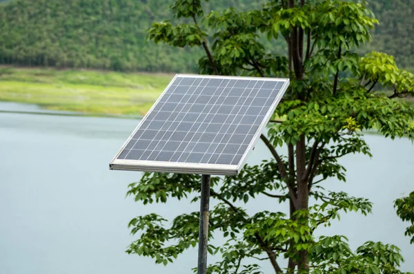 Solar Cell Panel Dam Solar Energy Concept Tree — Stock Photo, Image