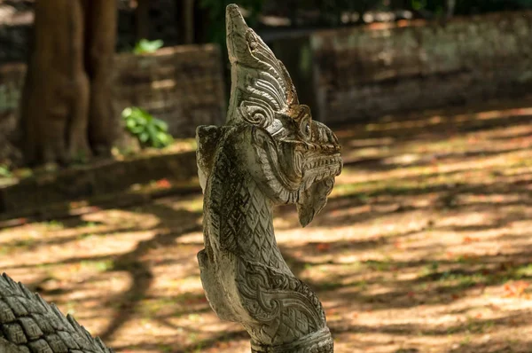 仏教の信仰の寺院で蛇の頭を Closd — ストック写真