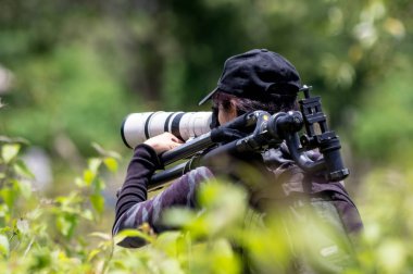 bir tripod ormanda yürüyen kadın