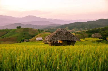 doğa manzara teras alanları ve kulübe Tayland ile