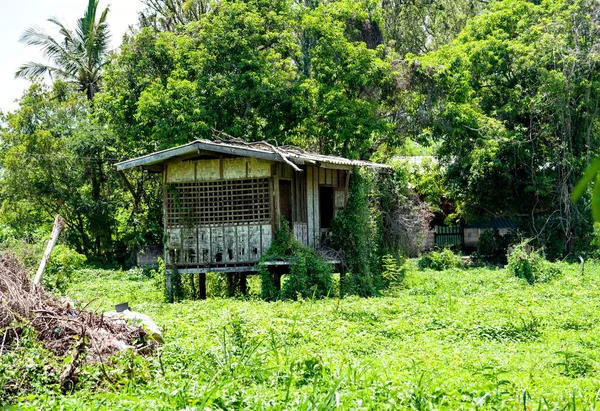 Oud Huis Het Bos Van Thailand — Stockfoto