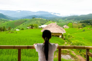 Kadınlar oturuyor ve Rice teraslarına bakıyor.