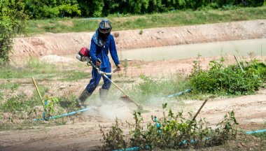 İşçiler bir tarlada çim biçiyordu..