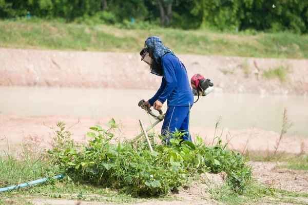 Trabalhadores Estavam Cortando Grama Campo — Fotografia de Stock