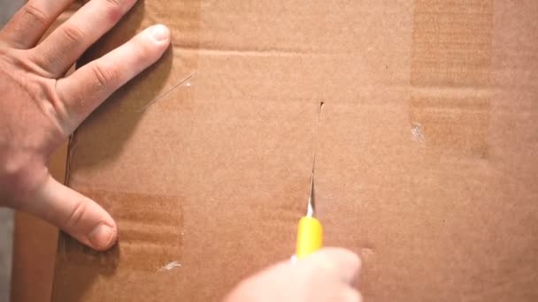 Montaje Muebles Hombre Desembalaje Caja Cartón — Vídeo de stock